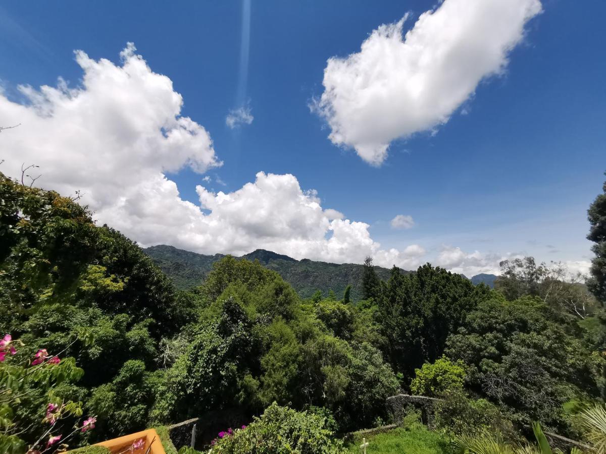 Mocca Hotels Tepoztlán Eksteriør billede